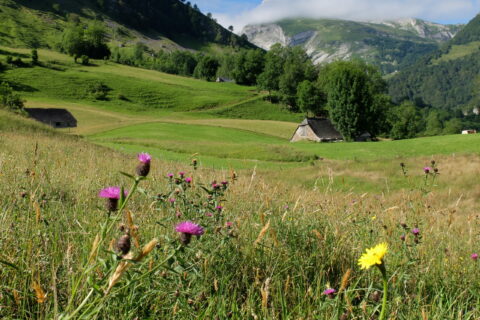 Les Vallées des Gaves Communauté de communes Pyrénées Vallées des Gaves
